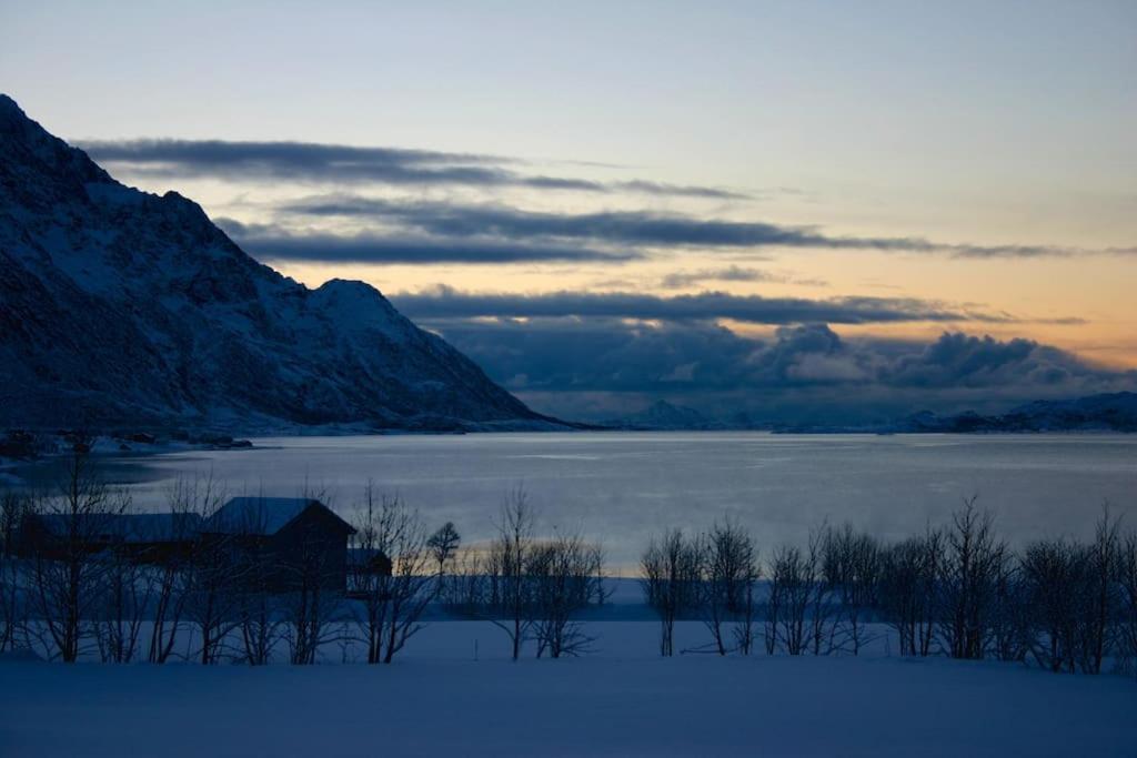 Charming House By The Sea, Lofoten! Laupstad Exteriör bild